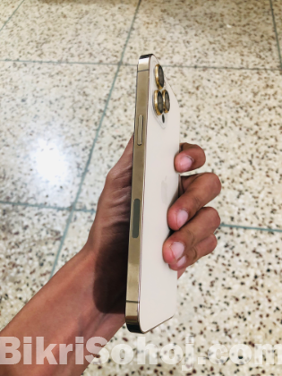 Apple IPhone 12 Pro Max 256 Gb